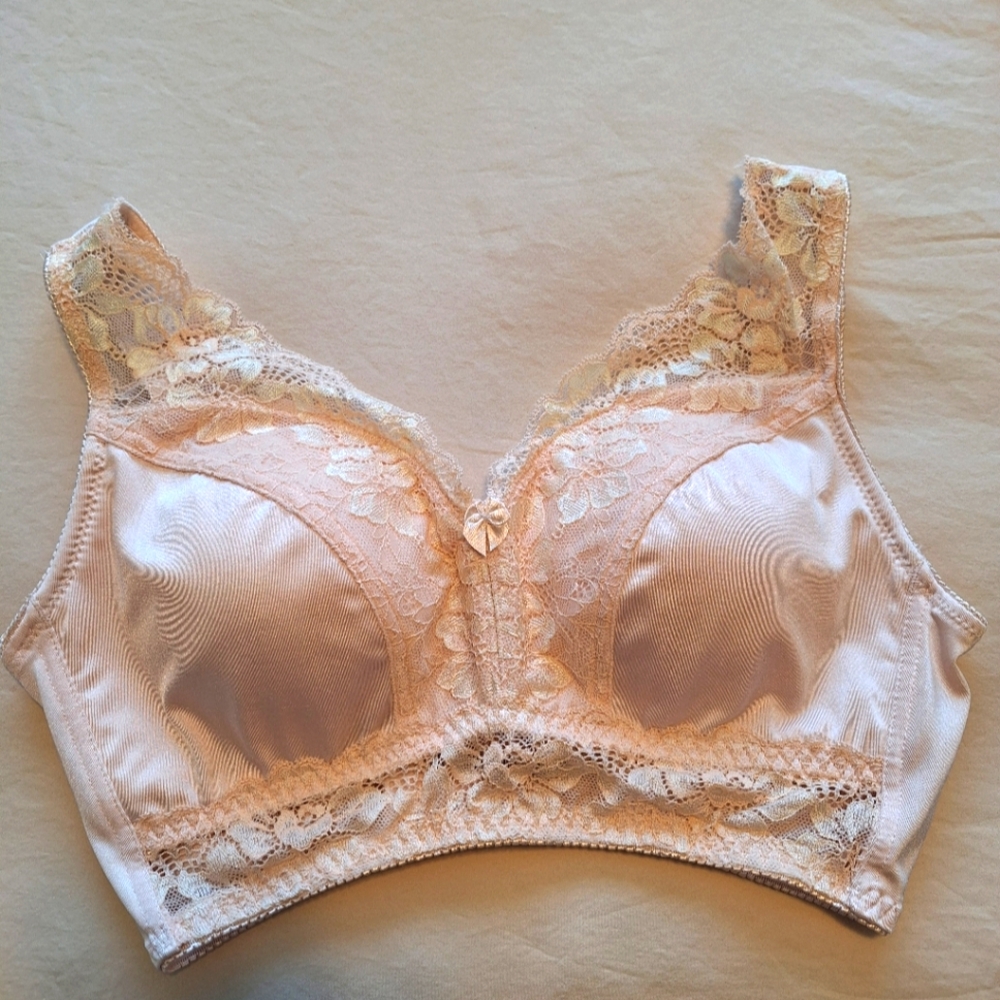 Rhonda Shear Elegant Lace Trim Bra in Peach NWOT